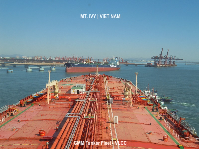 TANKER FLEET - VLCC : MT. IVY - Globalmariner.com.vn