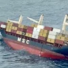 MARINE INCIDENT : CARGO DAMAGE – Indian Court Orders Arrest Of MV MSC Palermo To Secure Claims Related To MSC Elsa 3