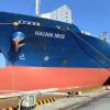 HAIAN (HAH) Fleet | Hai An Lines Successfully Received a 1,100 TEU Containership Named MV. HAIAN IRIS